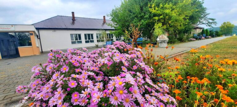 Shkolla “Rilindja” në Dobroshec të Drenasit, e rrethuar nga gjelbërimi – një hapësirë frymëzimi për nxënësit