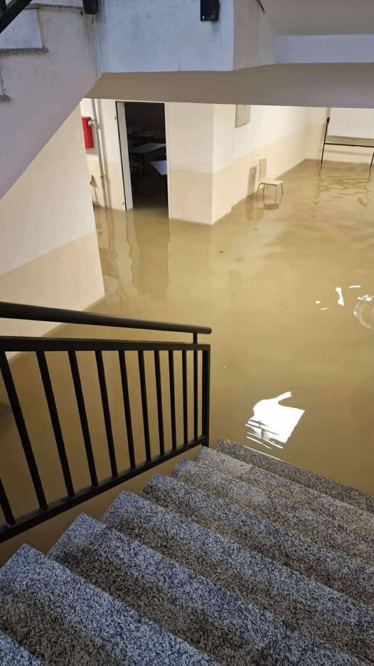 584943513 122205176222300426 6178496644042257137 n