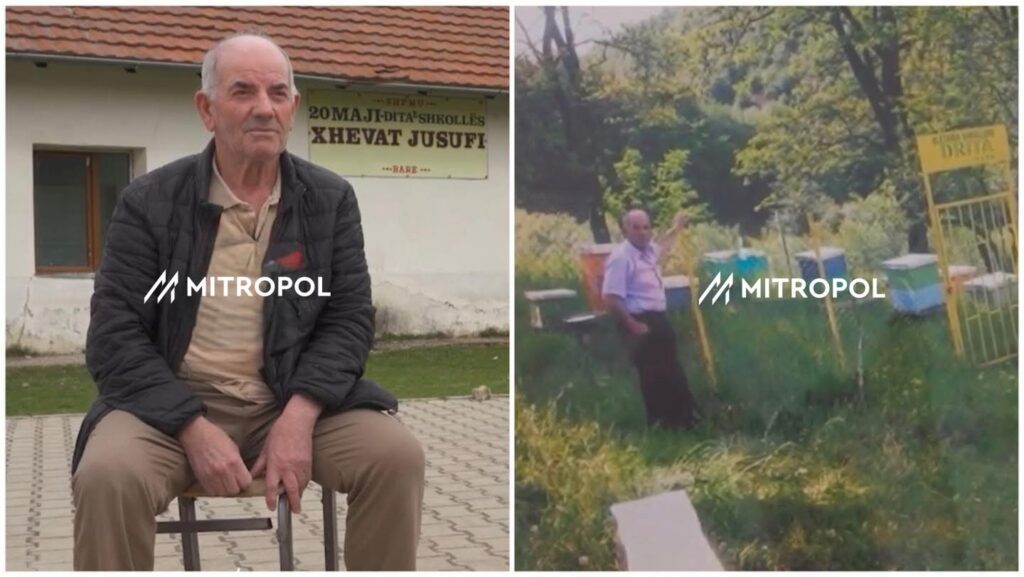 656791356 1378183581018615 84244403985577556 n