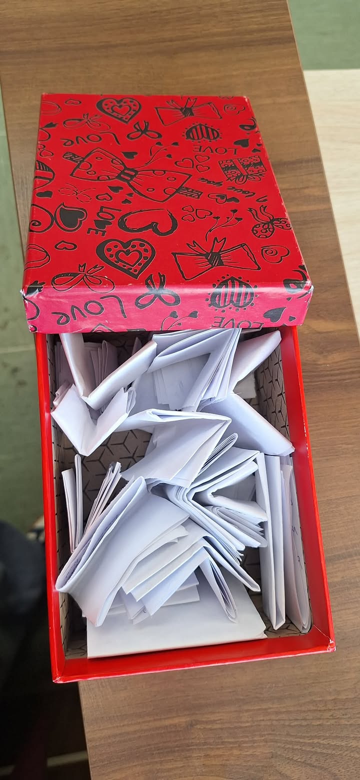 678933396 2532106123910017 3746069305679321824 n