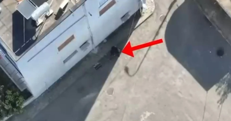 Shqetësuese: Substanca të dyshimta në formë karamelesh pranë shkollave